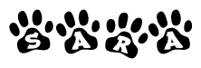 The image shows a row of animal paw prints, each containing a letter. The letters spell out the word Sara within the paw prints.