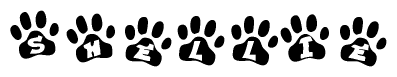 The image shows a row of animal paw prints, each containing a letter. The letters spell out the word Shellie within the paw prints.