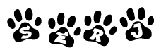 The image shows a series of animal paw prints arranged horizontally. Within each paw print, there's a letter; together they spell Serj