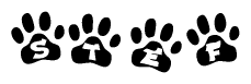 The image shows a series of animal paw prints arranged in a horizontal line. Each paw print contains a letter, and together they spell out the word Stef.