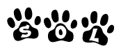 The image shows a series of animal paw prints arranged horizontally. Within each paw print, there's a letter; together they spell Sol