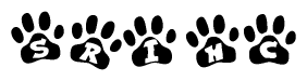 The image shows a row of animal paw prints, each containing a letter. The letters spell out the word Srihc within the paw prints.