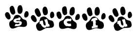 The image shows a series of animal paw prints arranged in a horizontal line. Each paw print contains a letter, and together they spell out the word Suciu.