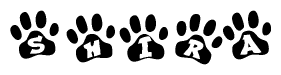 The image shows a series of animal paw prints arranged in a horizontal line. Each paw print contains a letter, and together they spell out the word Shira.