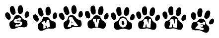 The image shows a series of animal paw prints arranged in a horizontal line. Each paw print contains a letter, and together they spell out the word Shavonne.