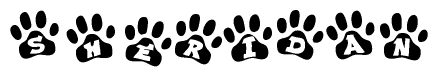The image shows a row of animal paw prints, each containing a letter. The letters spell out the word Sheridan within the paw prints.