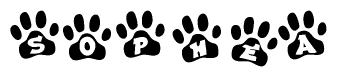 The image shows a row of animal paw prints, each containing a letter. The letters spell out the word Sophea within the paw prints.