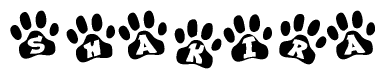The image shows a series of animal paw prints arranged in a horizontal line. Each paw print contains a letter, and together they spell out the word Shakira.