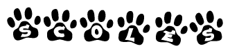 The image shows a series of animal paw prints arranged in a horizontal line. Each paw print contains a letter, and together they spell out the word Scoles.