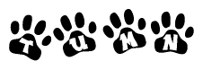 The image shows a series of animal paw prints arranged horizontally. Within each paw print, there's a letter; together they spell Tumn