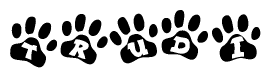 The image shows a series of animal paw prints arranged in a horizontal line. Each paw print contains a letter, and together they spell out the word Trudi.