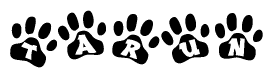 The image shows a row of animal paw prints, each containing a letter. The letters spell out the word Tarun within the paw prints.
