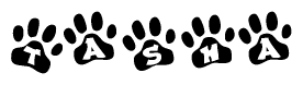 The image shows a series of animal paw prints arranged in a horizontal line. Each paw print contains a letter, and together they spell out the word Tasha.