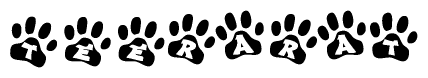 The image shows a series of animal paw prints arranged in a horizontal line. Each paw print contains a letter, and together they spell out the word Teerarat.