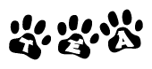 The image shows a series of animal paw prints arranged in a horizontal line. Each paw print contains a letter, and together they spell out the word Tea.