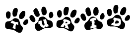 The image shows a series of animal paw prints arranged horizontally. Within each paw print, there's a letter; together they spell Turid