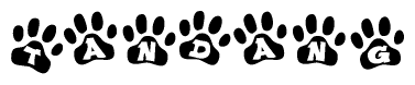 The image shows a row of animal paw prints, each containing a letter. The letters spell out the word Tandang within the paw prints.