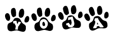 The image shows a series of animal paw prints arranged in a horizontal line. Each paw print contains a letter, and together they spell out the word Yoja.