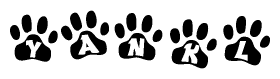 The image shows a row of animal paw prints, each containing a letter. The letters spell out the word Yankl within the paw prints.