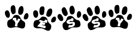 The image shows a series of animal paw prints arranged horizontally. Within each paw print, there's a letter; together they spell Yessy