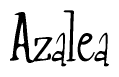 The image is a stylized text or script that reads 'Azalea' in a cursive or calligraphic font.