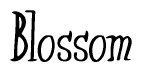The image contains the word 'Blossom' written in a cursive, stylized font.