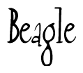 The image contains the word 'Beagle' written in a cursive, stylized font.