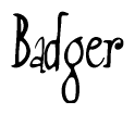 The image contains the word 'Badger' written in a cursive, stylized font.
