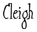 The image contains the word 'Cleigh' written in a cursive, stylized font.