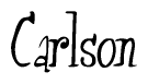 The image contains the word 'Carlson' written in a cursive, stylized font.