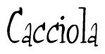 The image contains the word 'Cacciola' written in a cursive, stylized font.