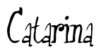 The image is a stylized text or script that reads 'Catarina' in a cursive or calligraphic font.