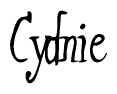 The image contains the word 'Cydnie' written in a cursive, stylized font.