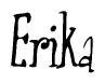 The image contains the word 'Erika' written in a cursive, stylized font.