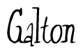 The image is of the word Galton stylized in a cursive script.