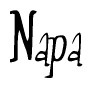 The image is of the word Napa stylized in a cursive script.