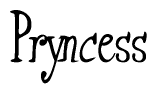 The image is of the word Pryncess stylized in a cursive script.