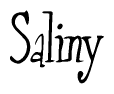 The image is a stylized text or script that reads 'Saliny' in a cursive or calligraphic font.