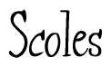 The image is a stylized text or script that reads 'Scoles' in a cursive or calligraphic font.