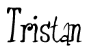 The image is a stylized text or script that reads 'Tristan' in a cursive or calligraphic font.