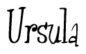 The image is of the word Ursula stylized in a cursive script.