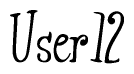 The image contains the word 'User12' written in a cursive, stylized font.