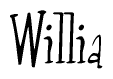 The image contains the word 'Willia' written in a cursive, stylized font.