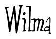 The image is a stylized text or script that reads 'Wilma' in a cursive or calligraphic font.