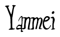 The image is of the word Yanmei stylized in a cursive script.
