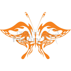 butterfly on white background in orange clipart. Royalty-free image # 368404