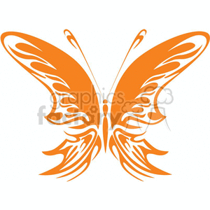butterflies designs orange