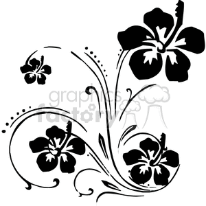 black hibiscus floral swirl designs