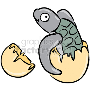 Baby turtle breaking out of his egg clipart.