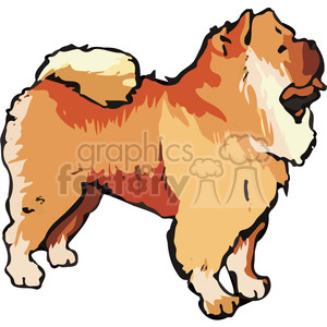 Chow Chow dog clipart. Royalty-free image # 131708